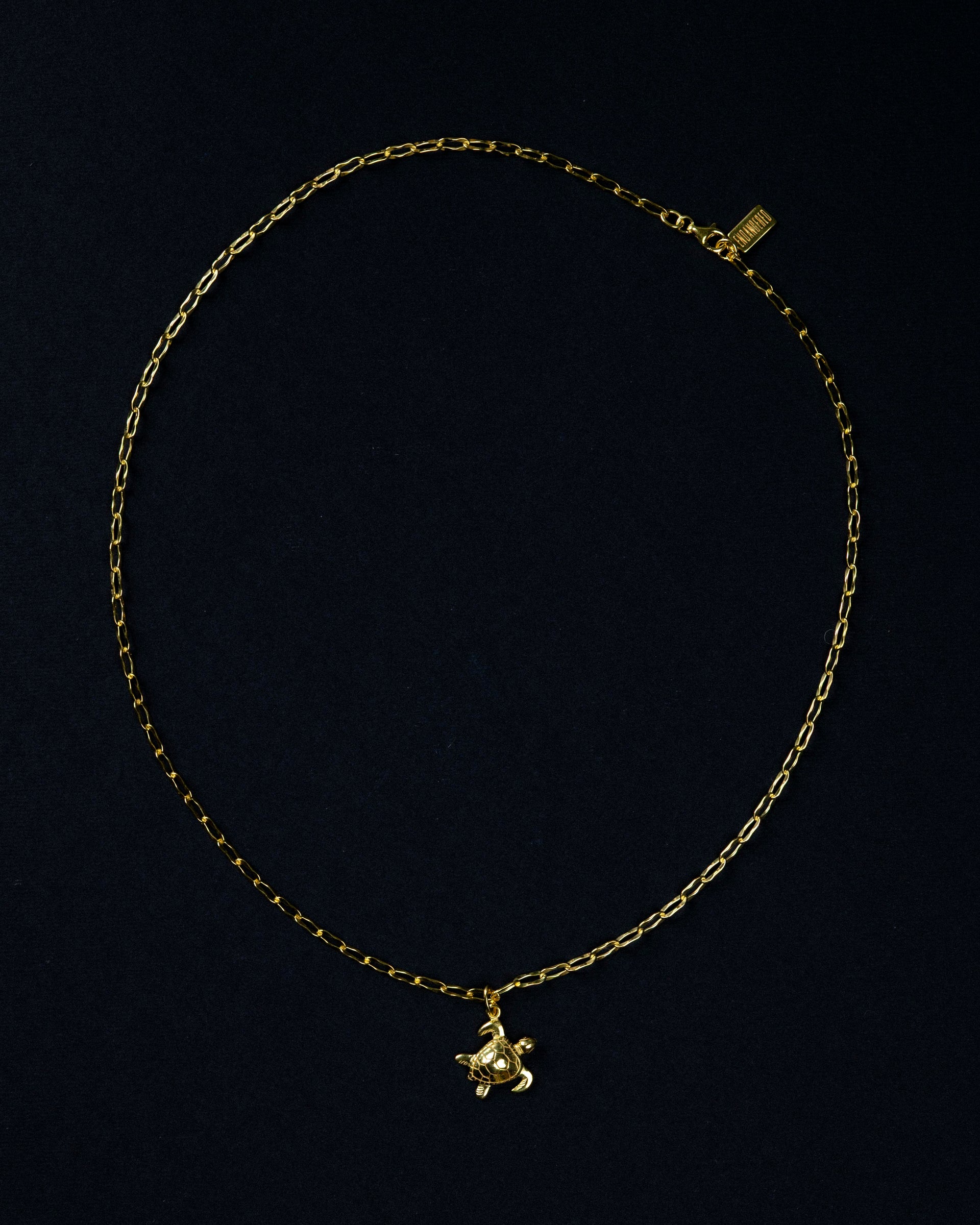 Hawksbill turtle necklace
