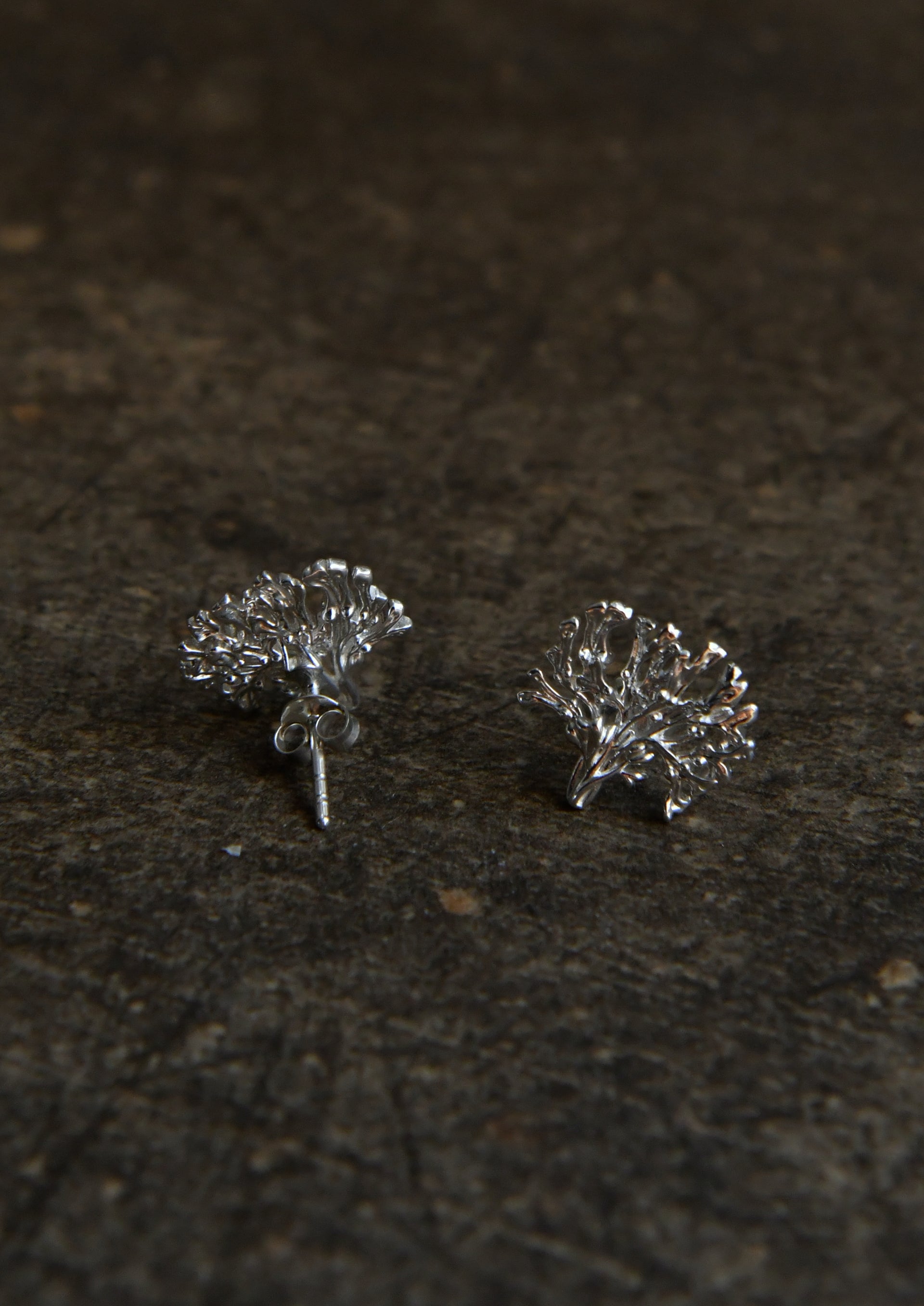 Blåstång earrings