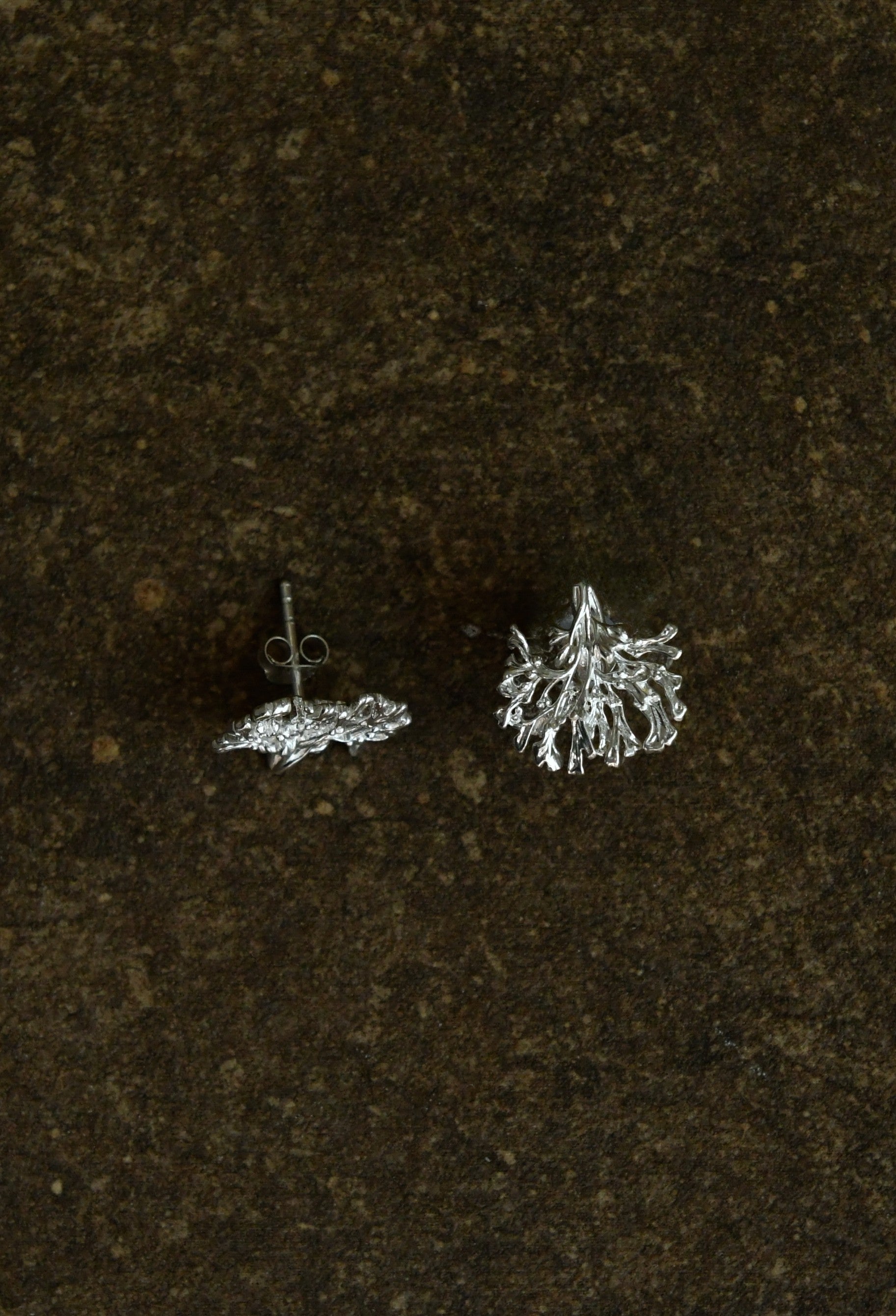 Blåstång earrings
