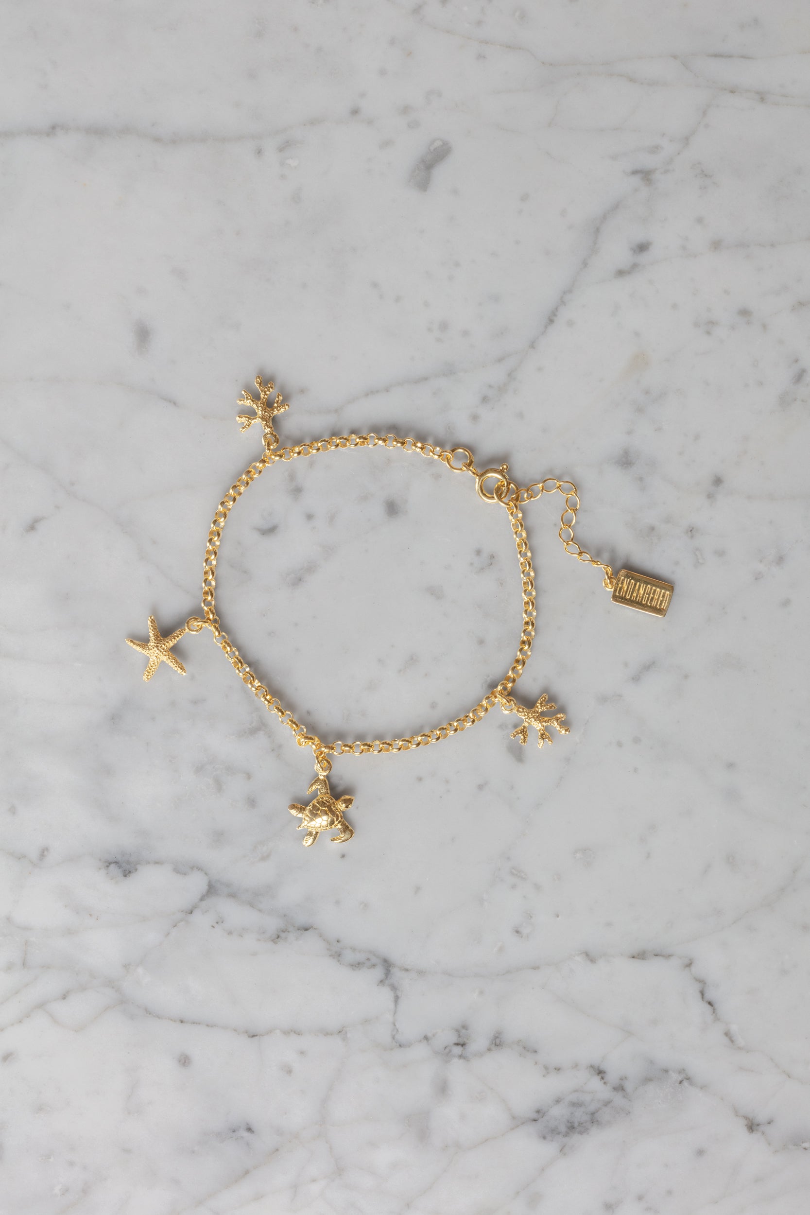 Ocean reef bracelet