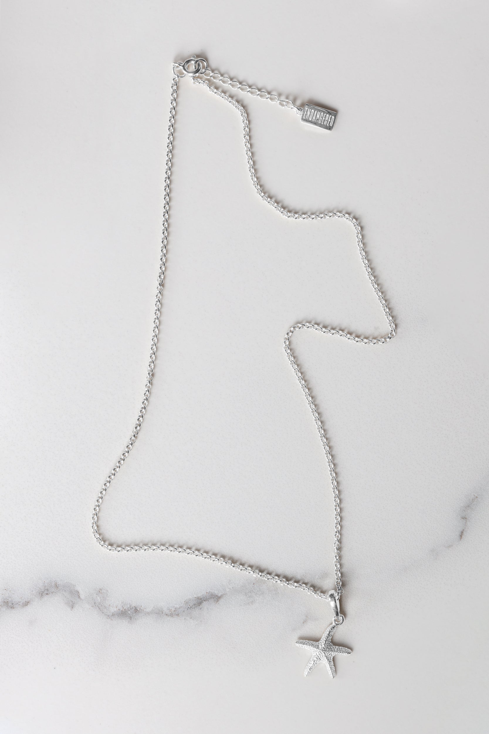 Starfish necklace