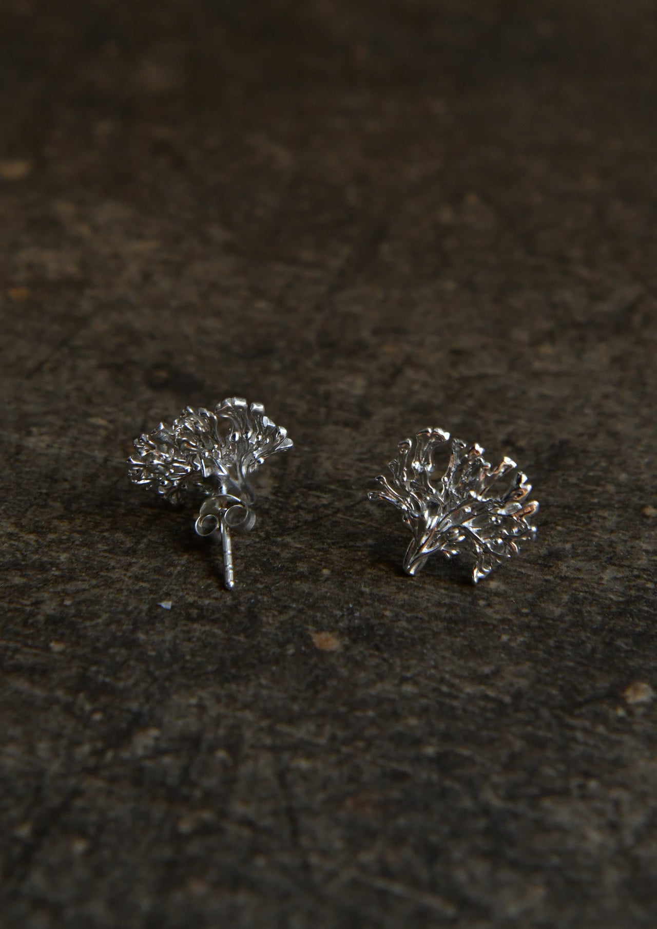 Blåstång earrings