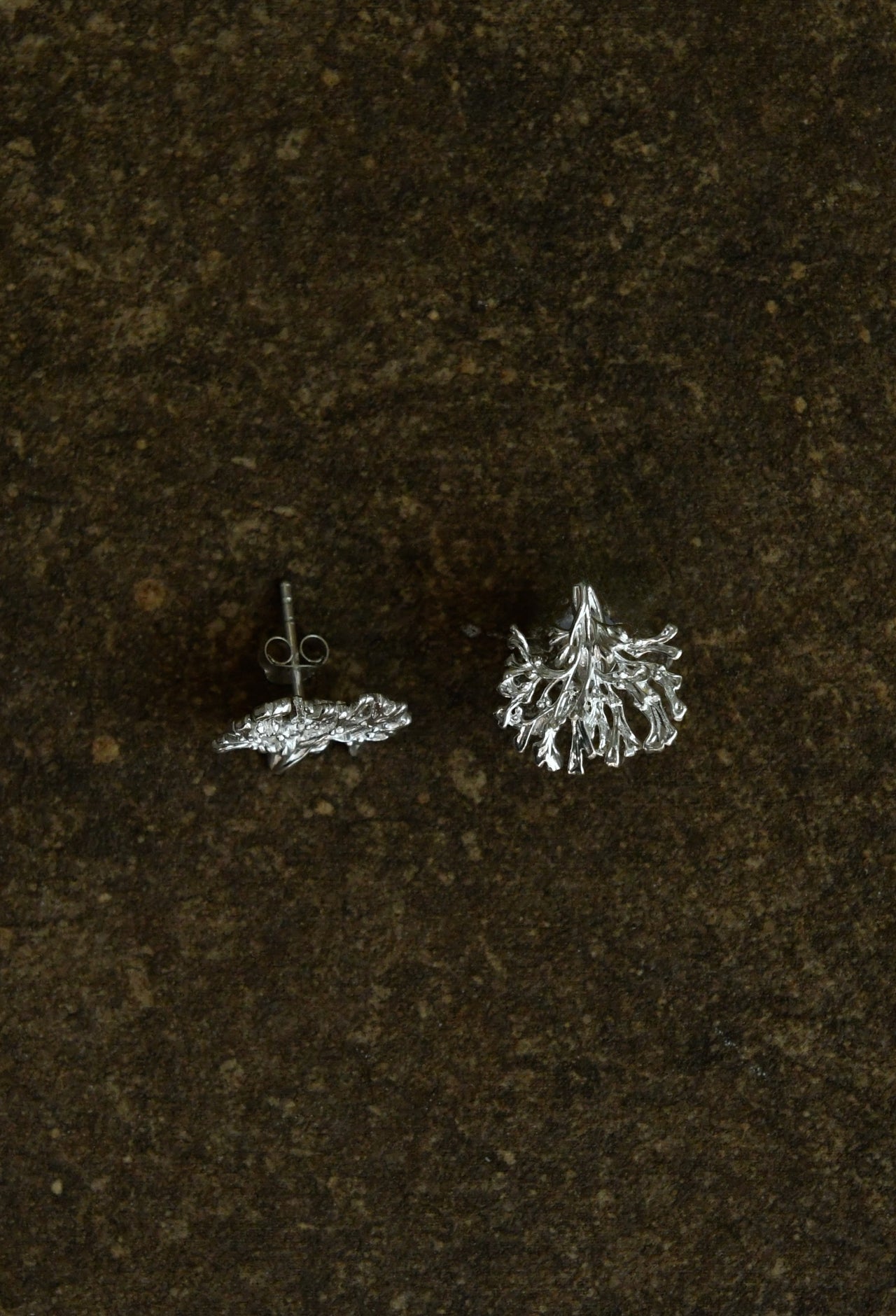 Blåstång earrings