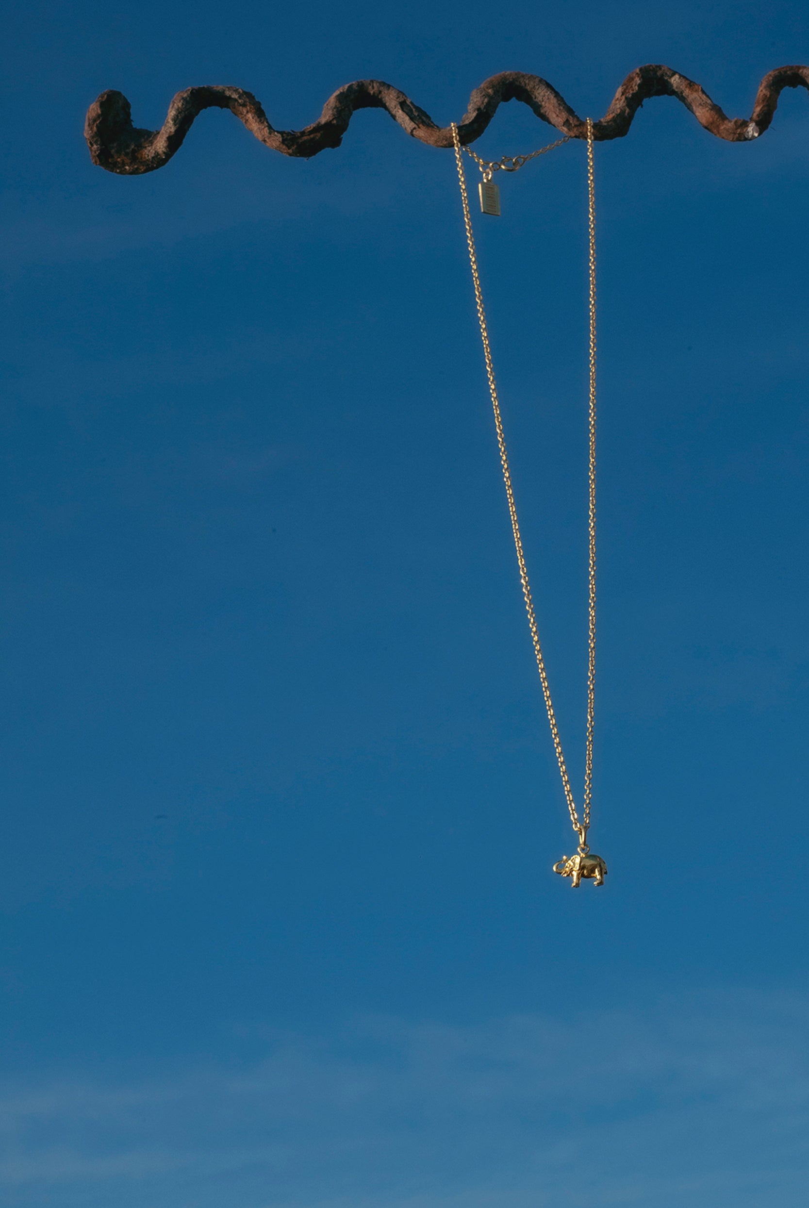 Pygmy elephant necklace