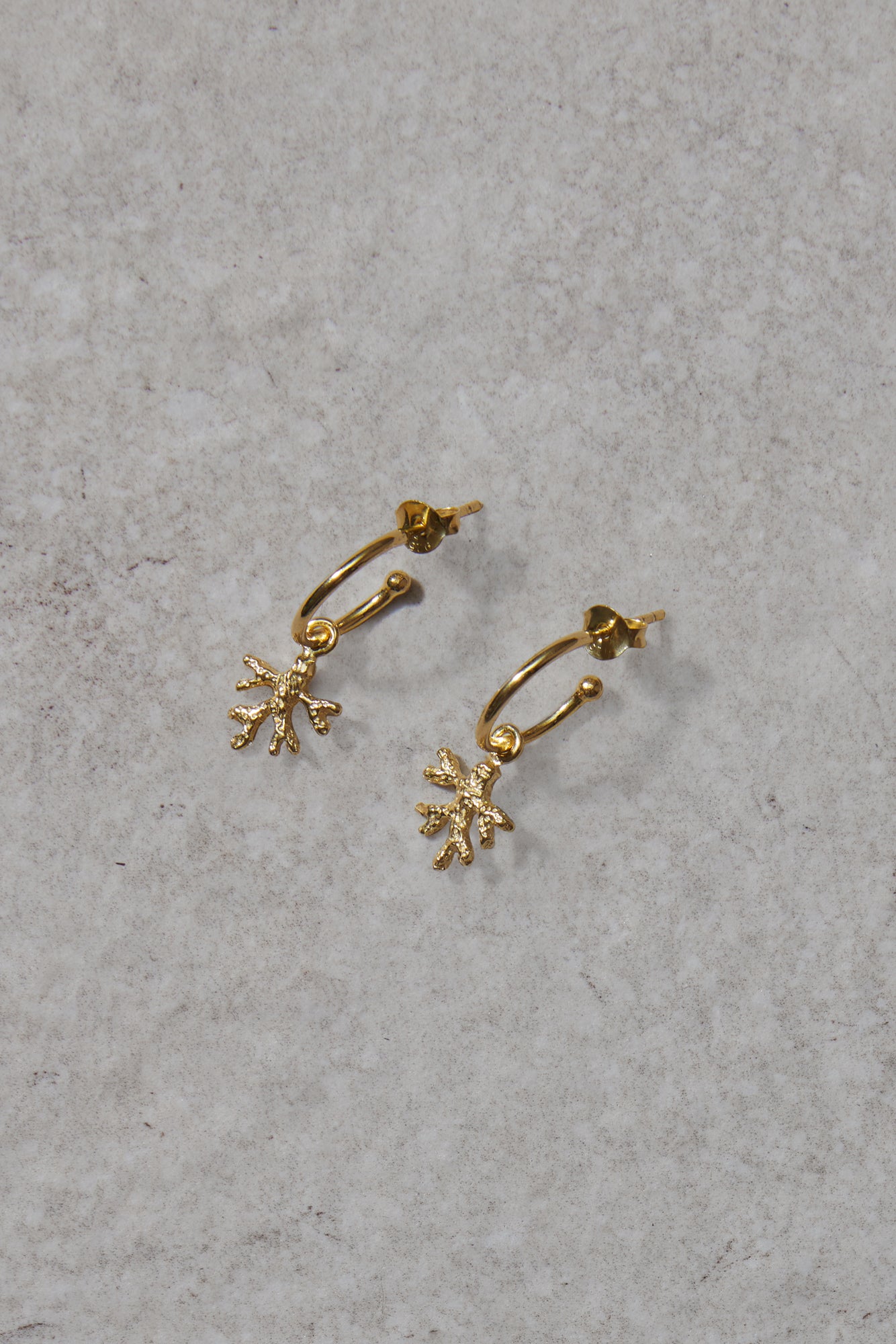 Staghorn coral earrings