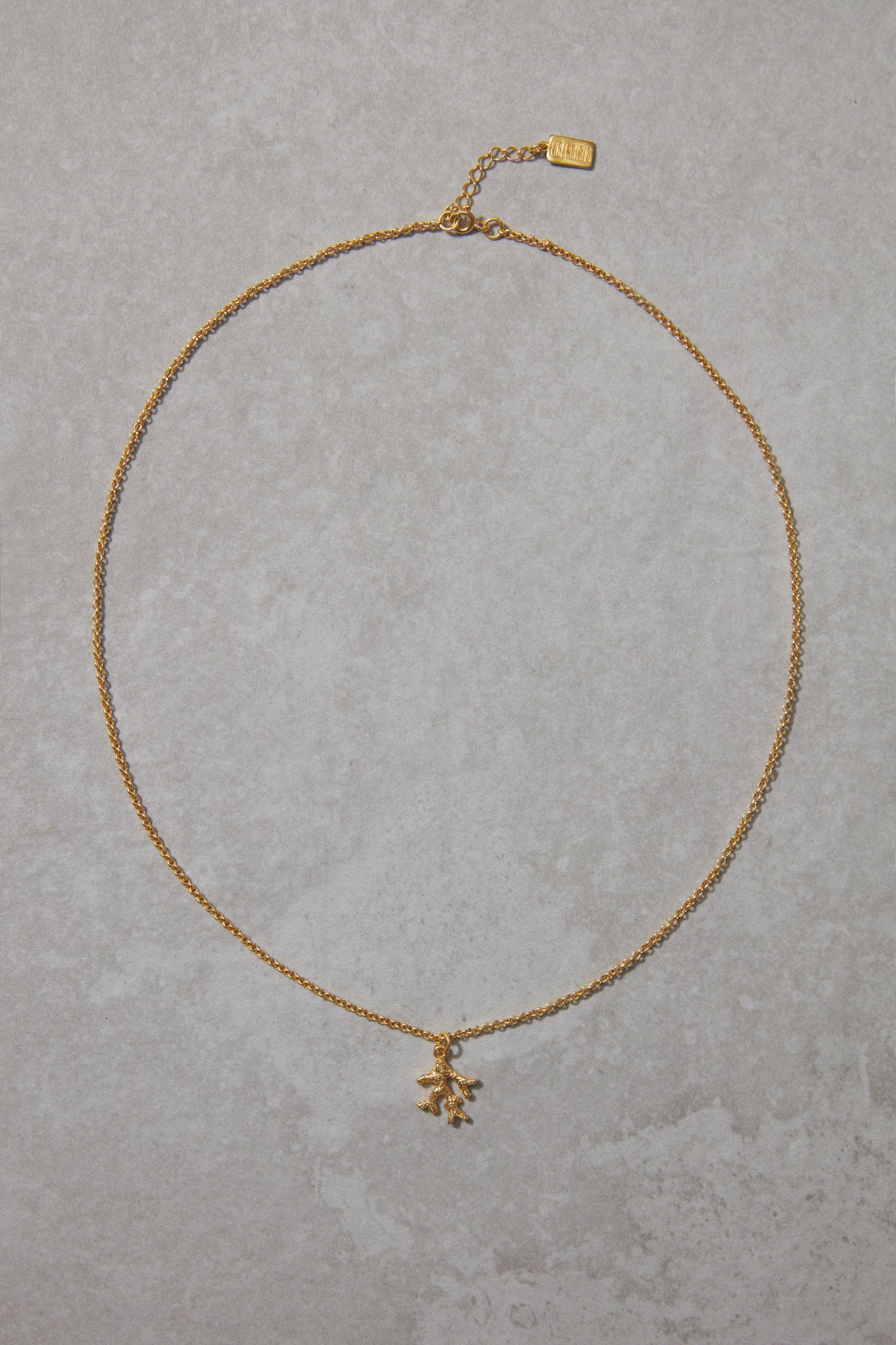 Staghorn coral necklace